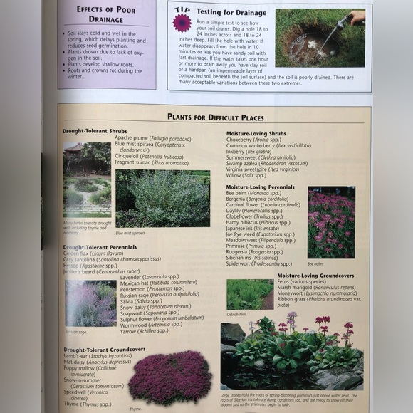 Gardening Essentials Hardcover Book - Picture 9 of 16